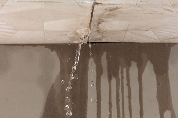 Professional Water Damage Repair technician working in Thornton, WA